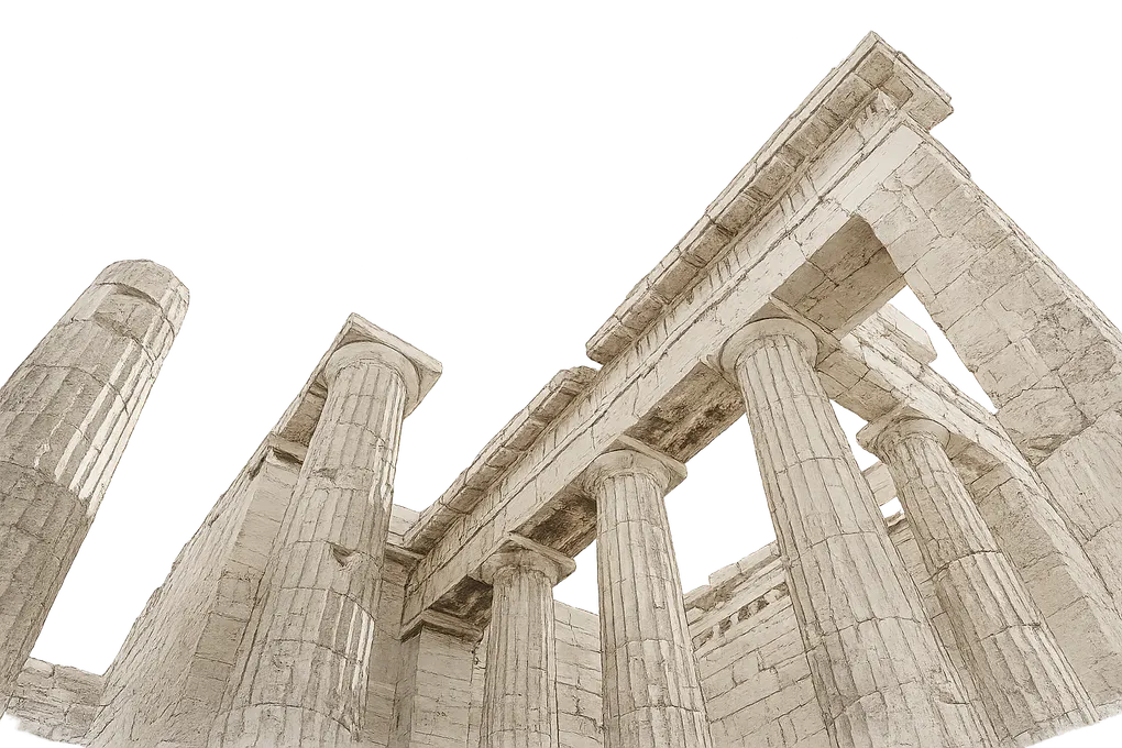 How Often Should You Train Your Dog?